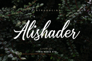 Alishader: The Font That Elevates Your Digital Brand