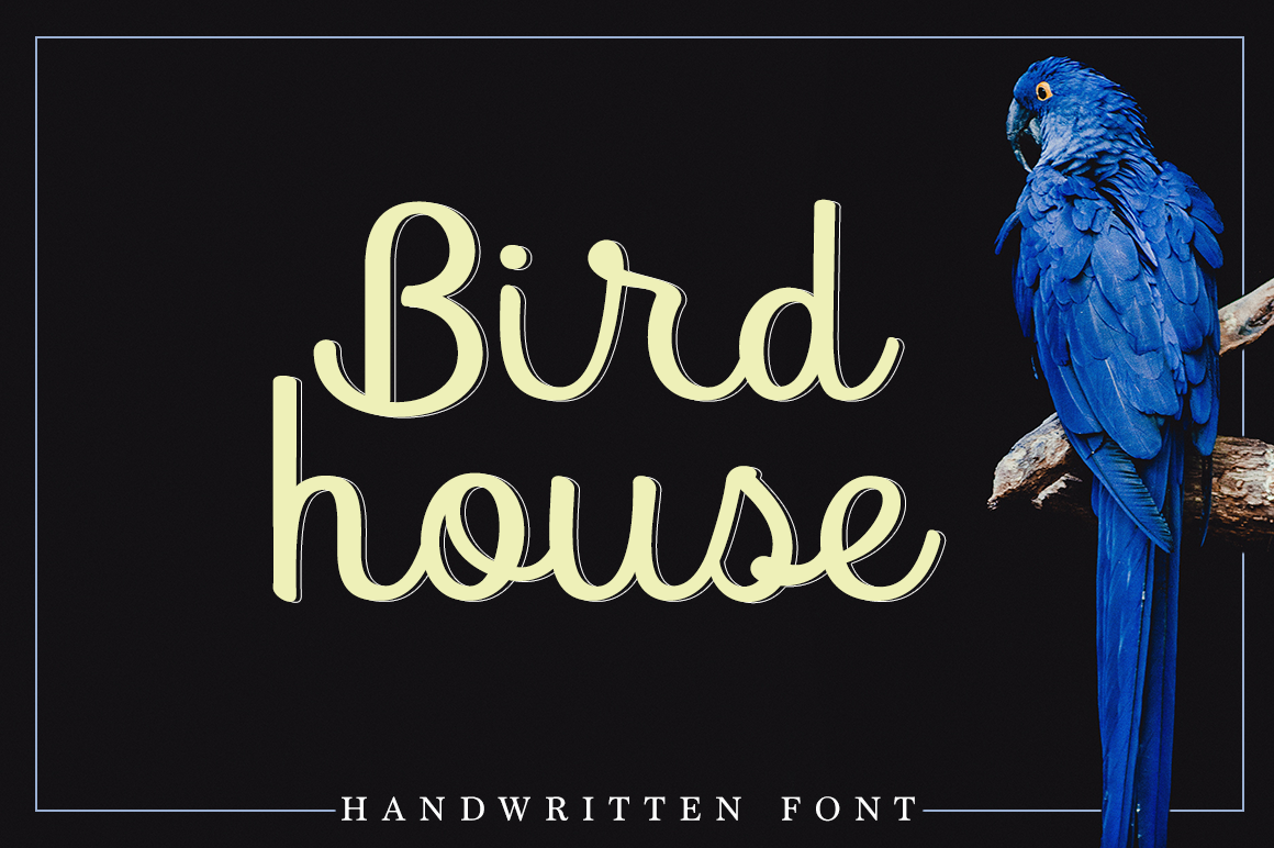 Bird House: A Script Font for Editorial Elegance