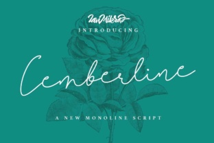 Cemberline: A Font That Elevates Your Brand