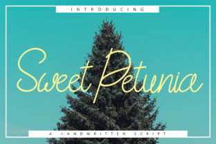 Enhance Your Brand with the Sweet Petunia Script Font
