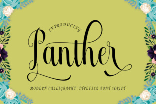 Font Review: Panther for Branding and Design