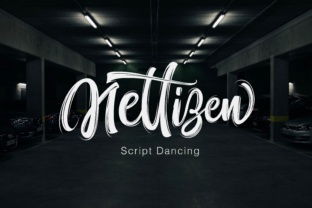 Nettizen: The Font That Elevates Your Campaigns