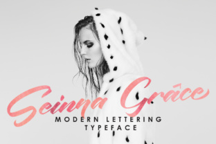 Seinna Grace: A Font That Elevates Branding